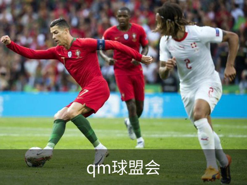 了解qm球盟会